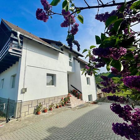 Apartamento Casuta Cu Dumbrava Bran  Exterior foto