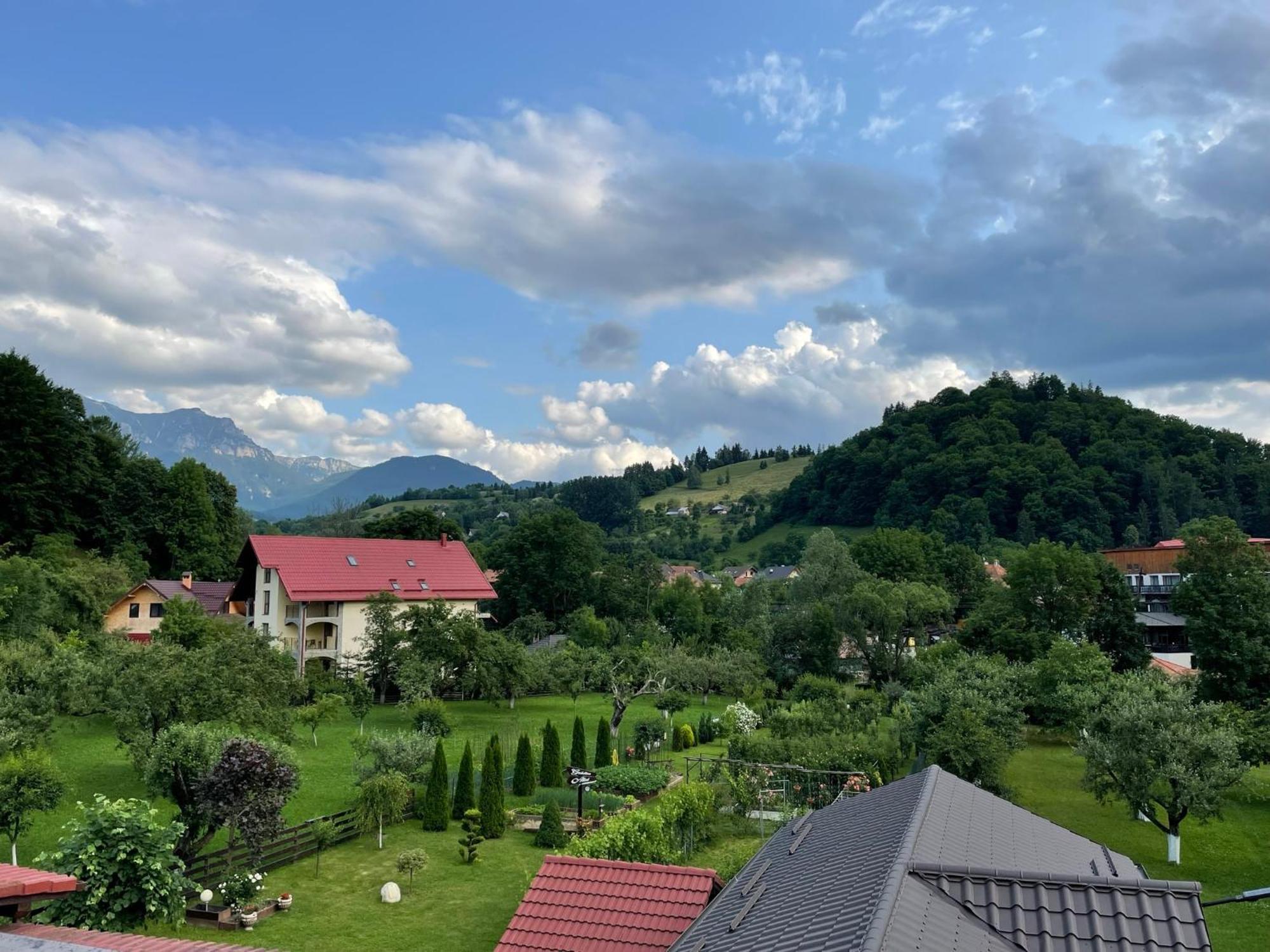 Apartamento Casuta Cu Dumbrava Bran  Exterior foto