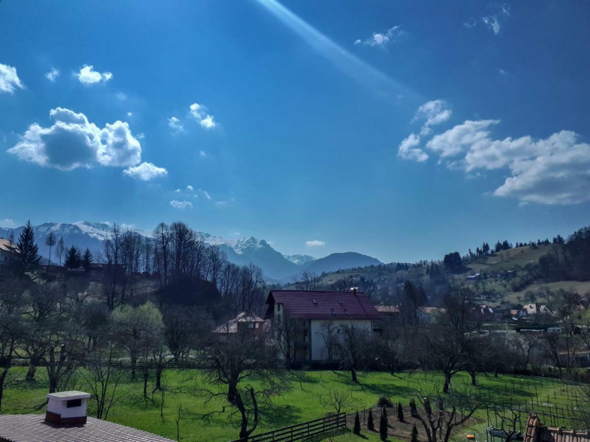 Apartamento Casuta Cu Dumbrava Bran  Exterior foto